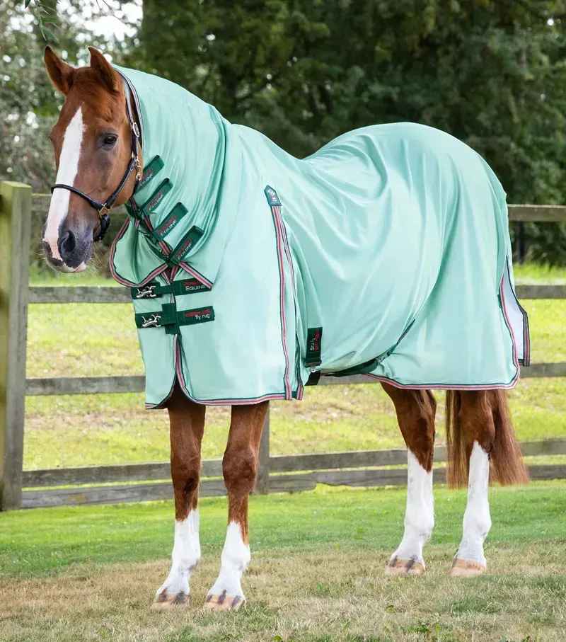 Premier Equine Combo Mesh Air Fly Rug With Surcingles in Mint Green