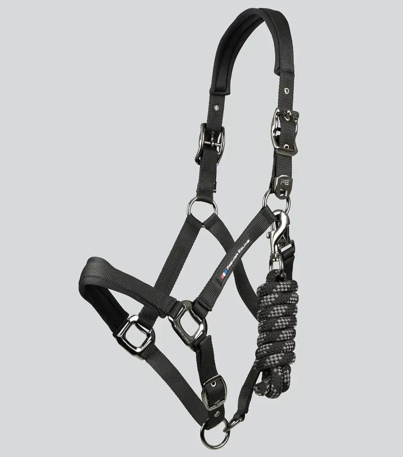Premier Equine Corda Padded Head Collar With Lead Rope in Black