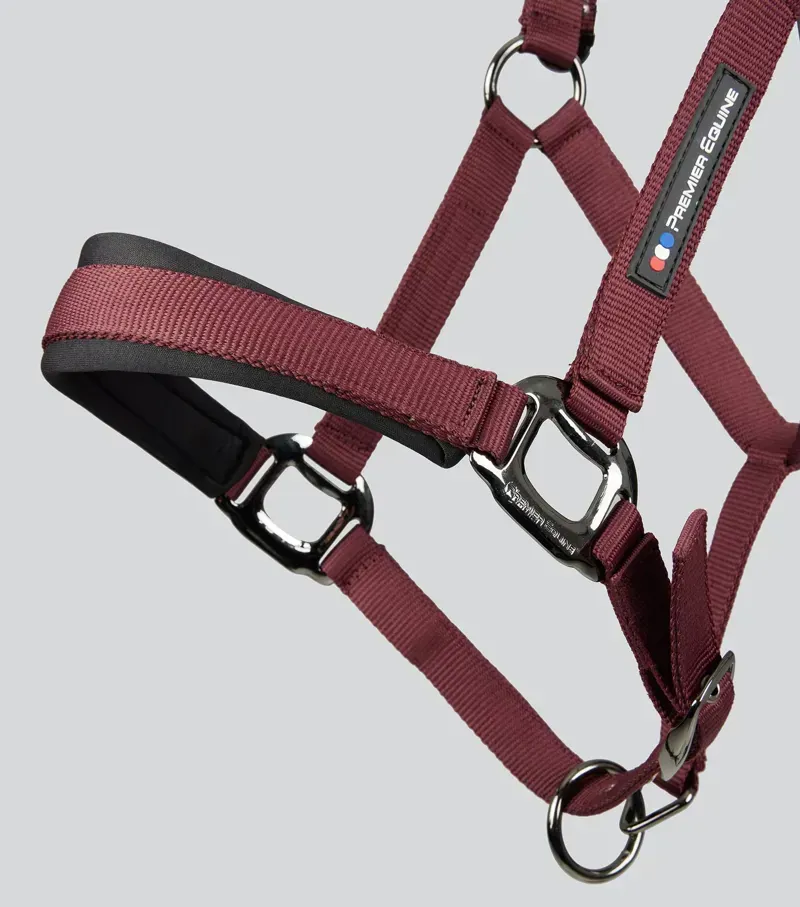 Premier Equine Corda Padded Head Collar With Lead Rope in Burgundy-4