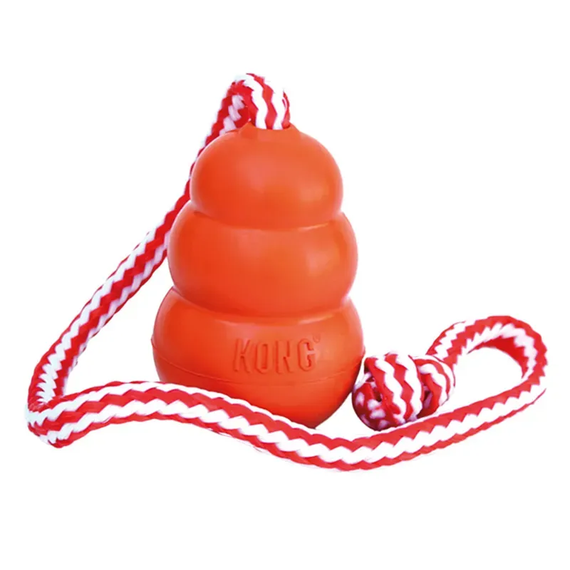 Kong Medium Aqua Toy