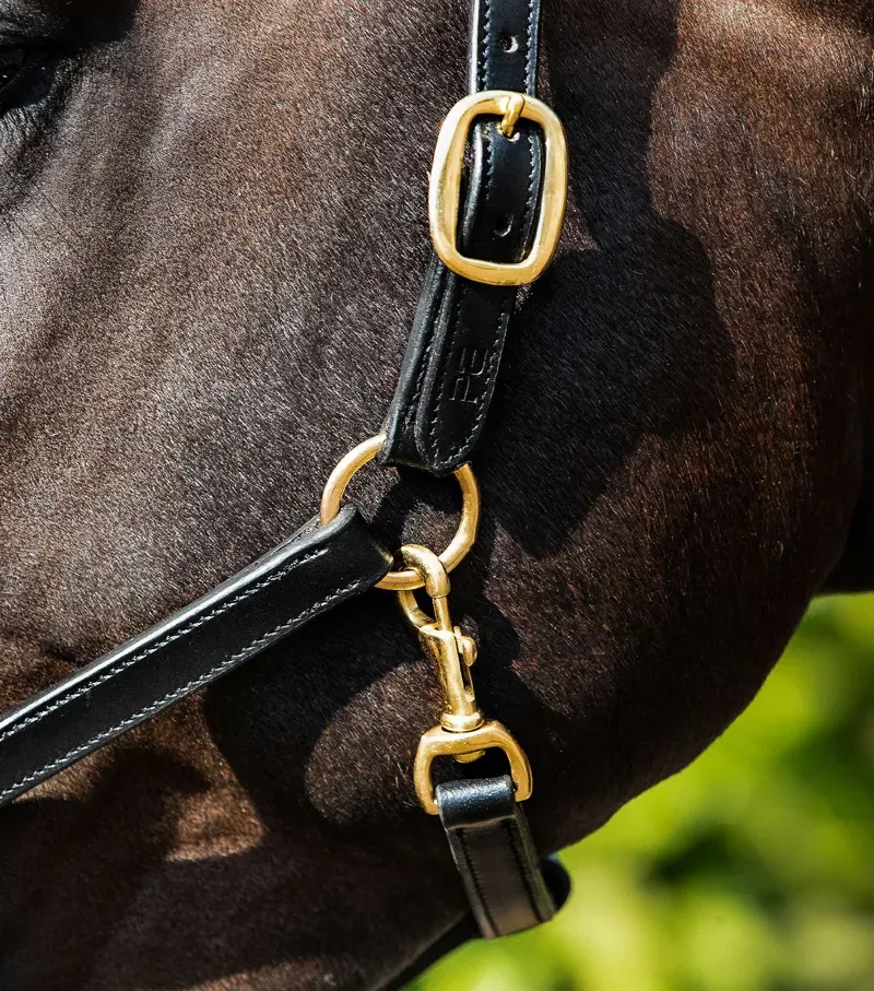 Rego Padded Leather Head Collar / Black-1