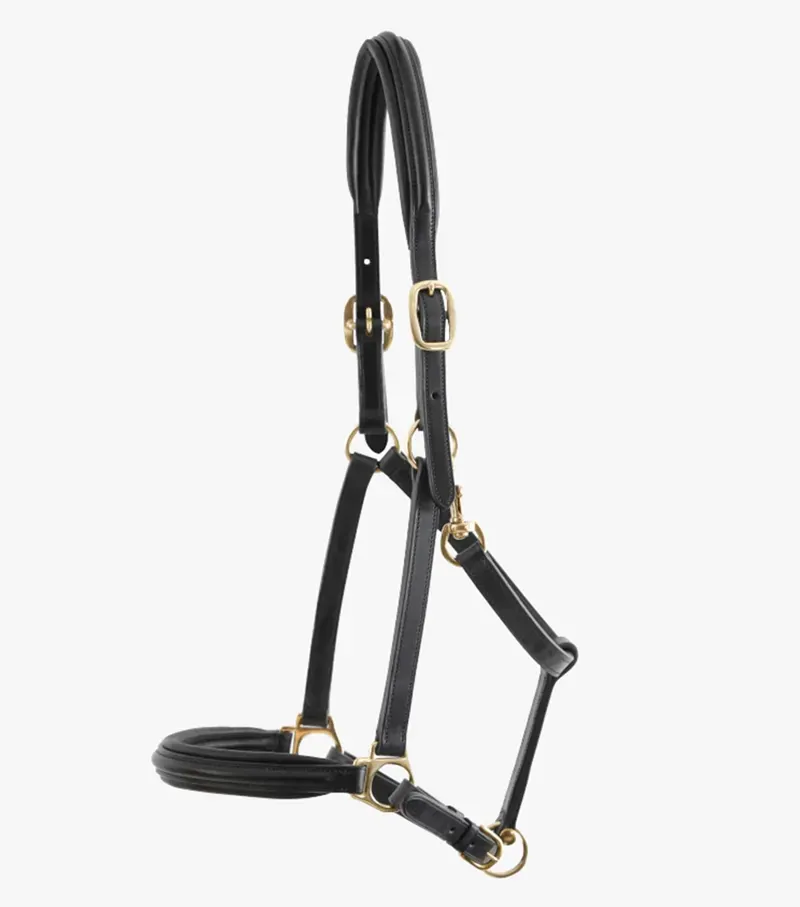 Rego Padded Leather Head Collar / Black-3