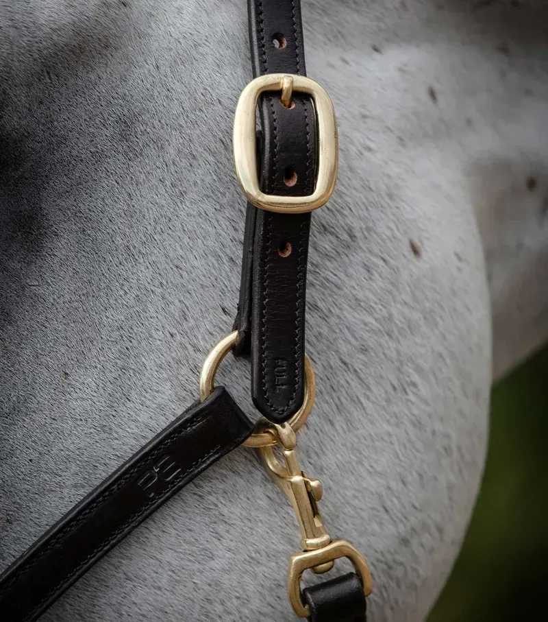 Rego Padded Leather Head Collar / Brown-1