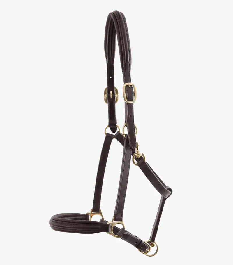 Rego Padded Leather Head Collar / Brown-3