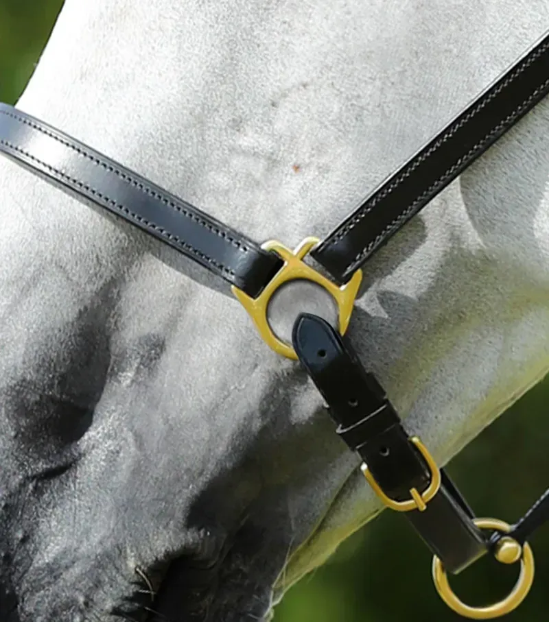 Pasco Plain Leather Head Collar / Black-2