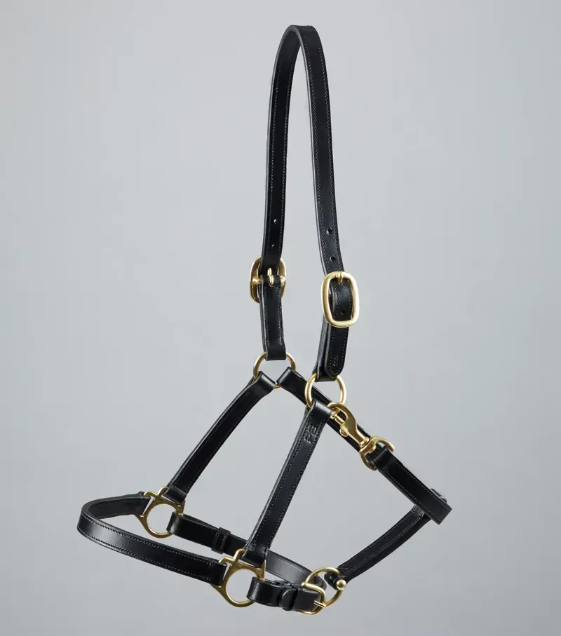 Pasco Plain Leather Head Collar / Black-3