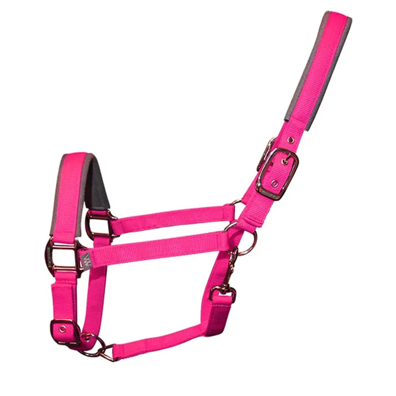 Woof Wear Contour Head Collar - Berry