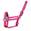 Woof Wear Contour Head Collar - Berry