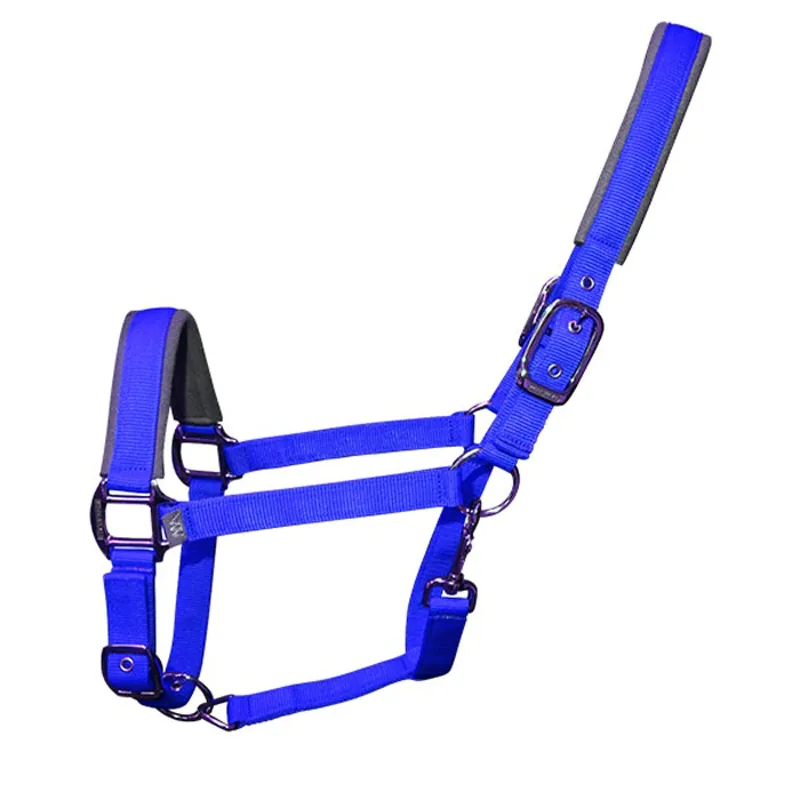 Woof Wear Contour Head Collar - Electric Blue