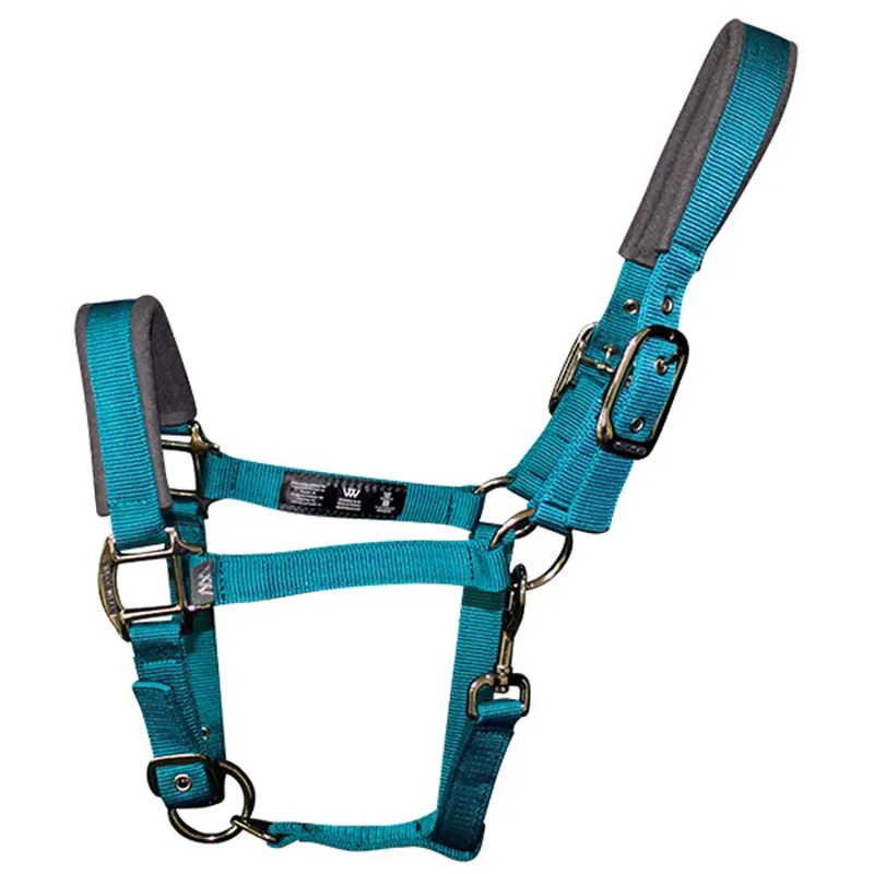 Woof Wear Contour Head Collar - Ocean