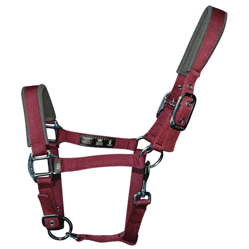 Woof Wear Contour Head Collar - Shiraz