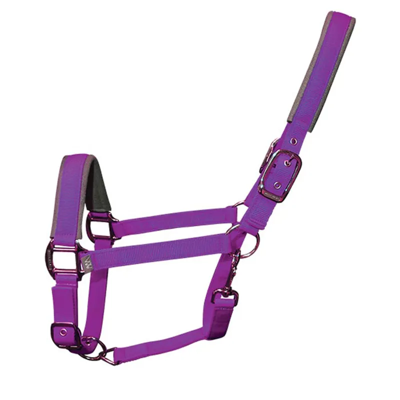 Woof Wear Contour Head Collar - Ultra Violet