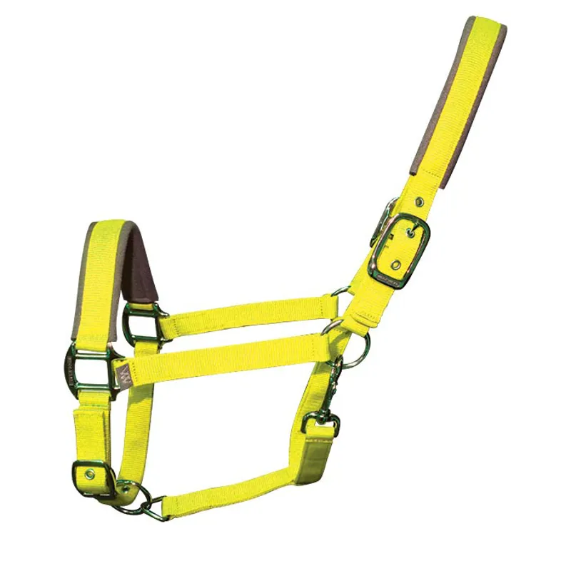 Woof Wear Contour Head Collar - Sunshine Yellow