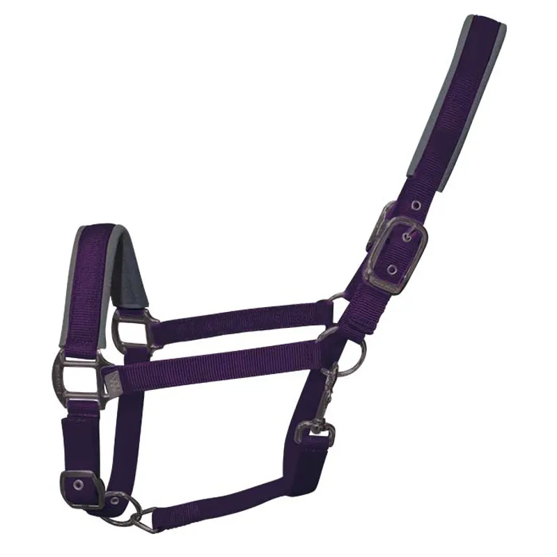 Woof Wear Contour Head Collar - Damson
