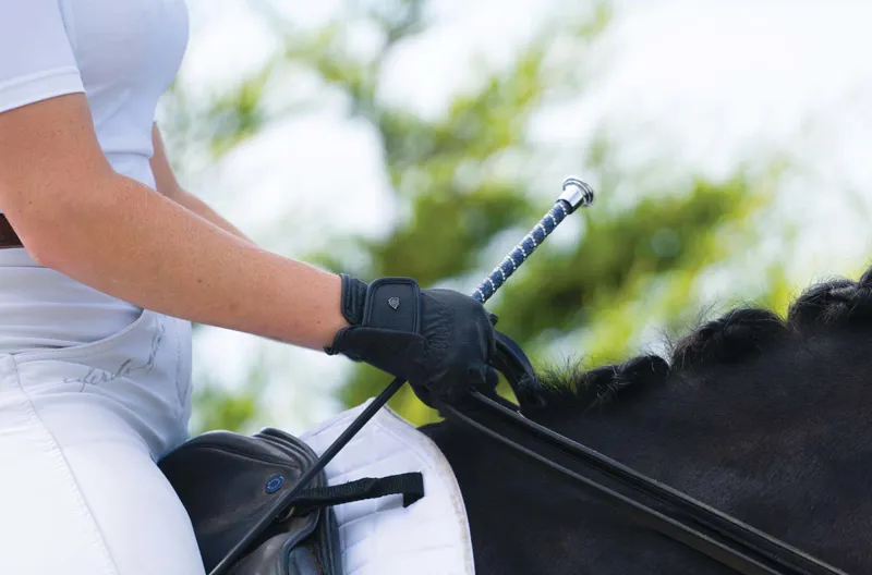 Woof Wear Twisted Dressage Whip - Navy/Silver-1