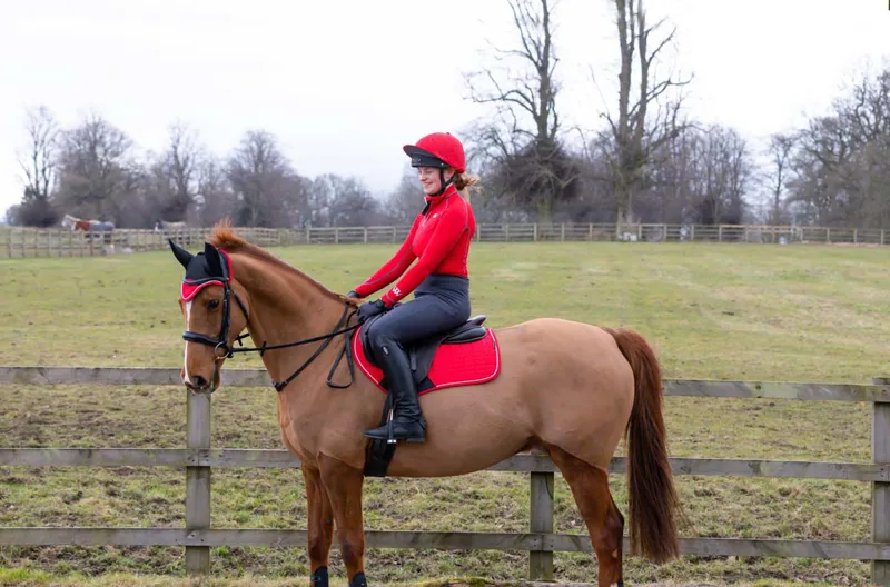 Woof Wear Original Riding Tights - Knee Patch - Slate-1