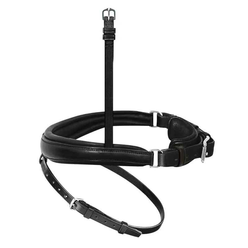 Passier Exchangeable Anatomically-Formed Caveson Special Flash Noseband