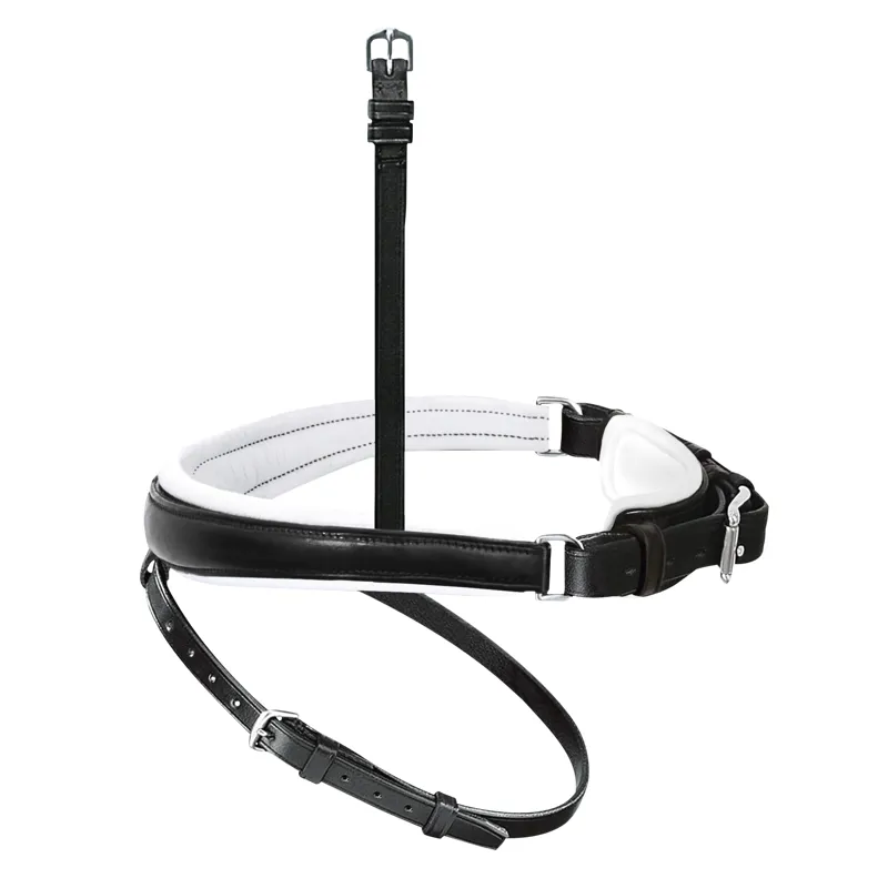 Passier Exchangeable Anatomically-Formed Caveson Special with White Lining and Flash Strap