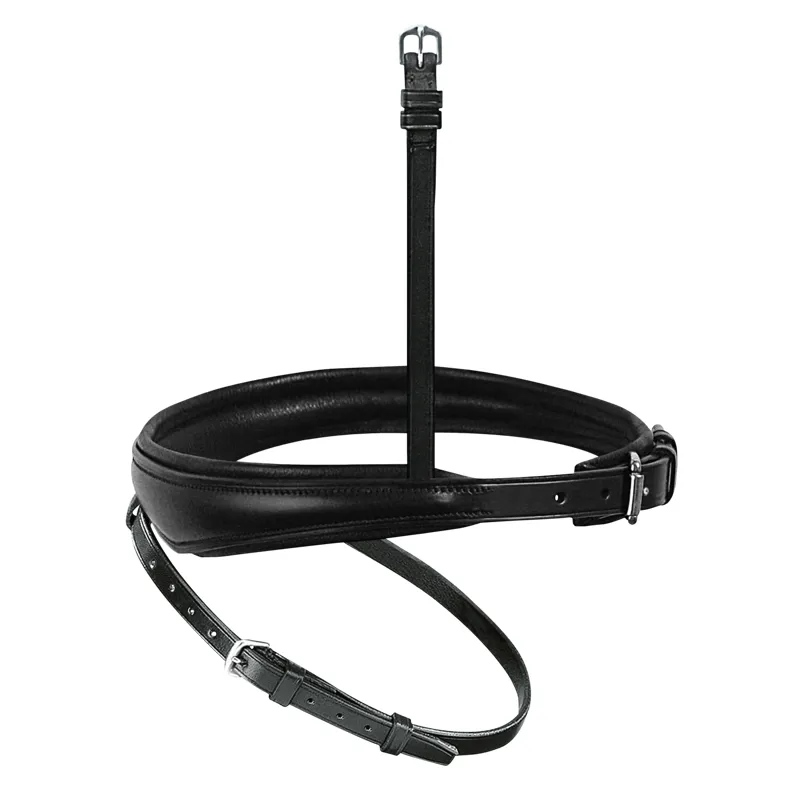 PASSIER Exchangeable Anatomically Formed Flash Noseband