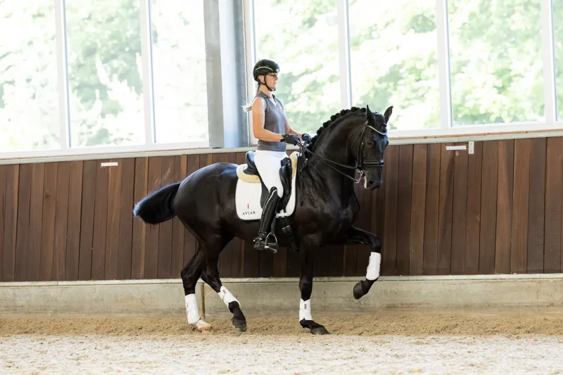 Redsware Tatum Technical sleeveless Polo Shirt Slate-9