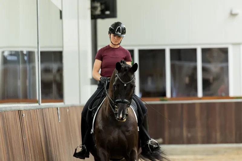 Redsware Fenne Technical T-shirt Merlot-7