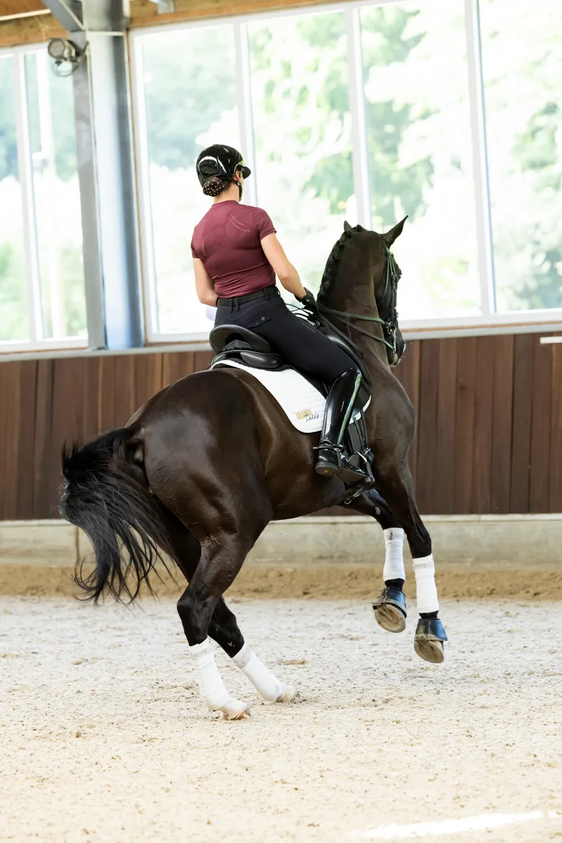 Redsware Fenne Technical T-shirt Merlot-8