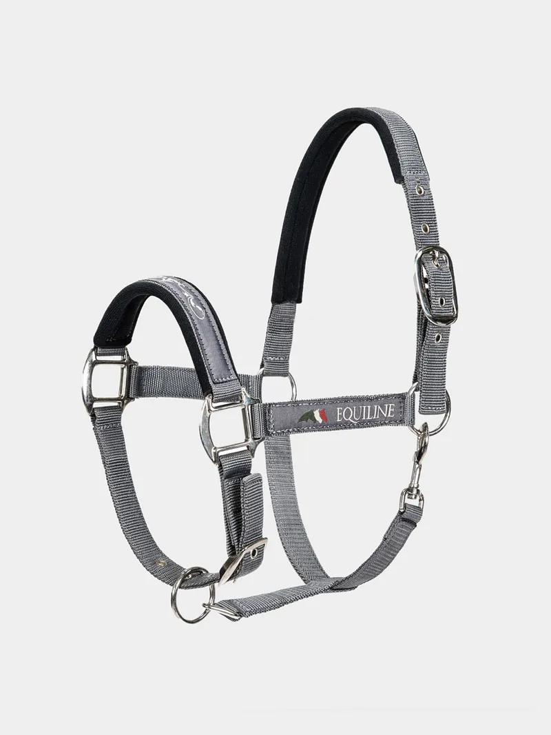 Equiline Halter Timmy Grey