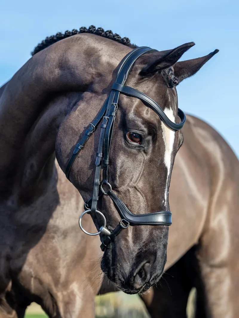 LeMieux Arika Drop Bridle - Black/Silver-3