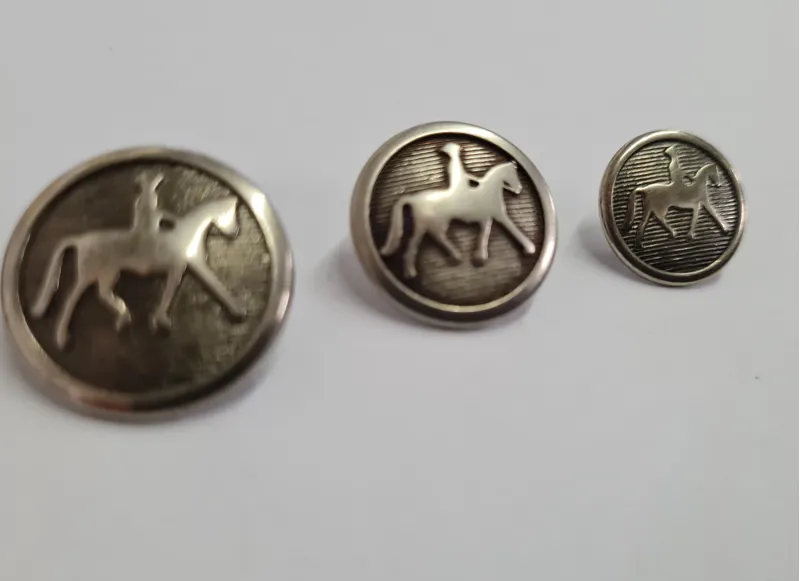 Pikeur Silver Coloured Buttons-1