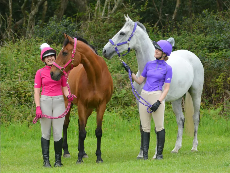 Woof Wear Contour Head Collar - Ultra Violet-1