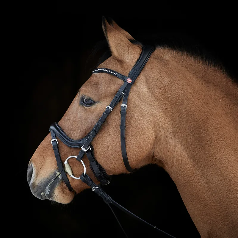 Kieffer Ilona Snaffle Bridle - Crystals-4