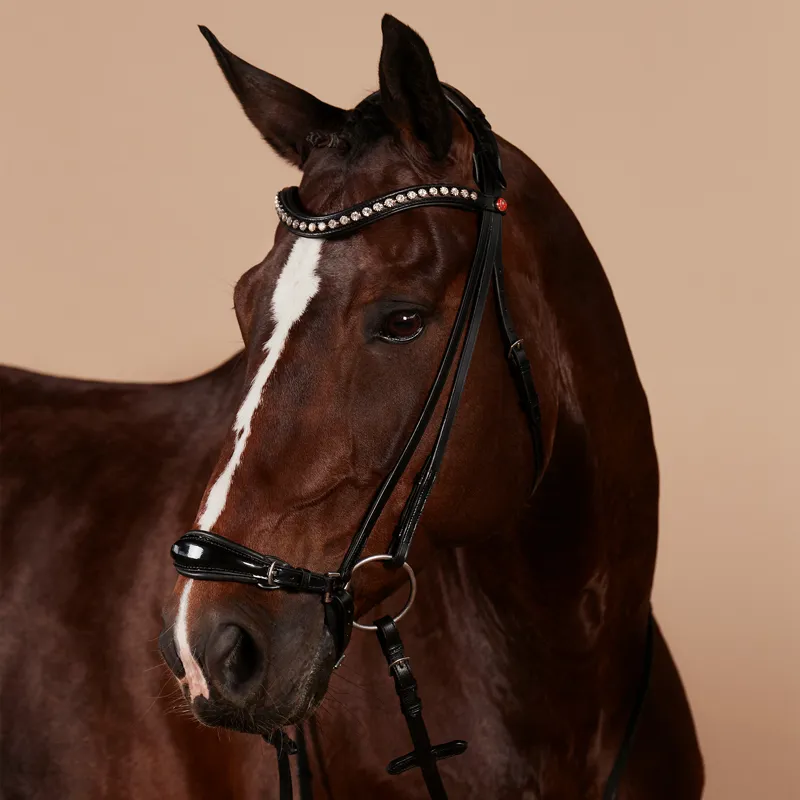 Kieffer Melody Drop Noseband Bridle - Black-6