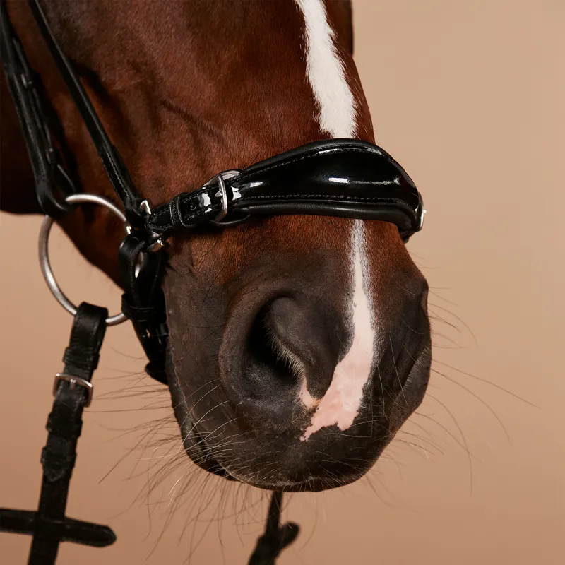 Kieffer Melody Drop Noseband Bridle - Black-4