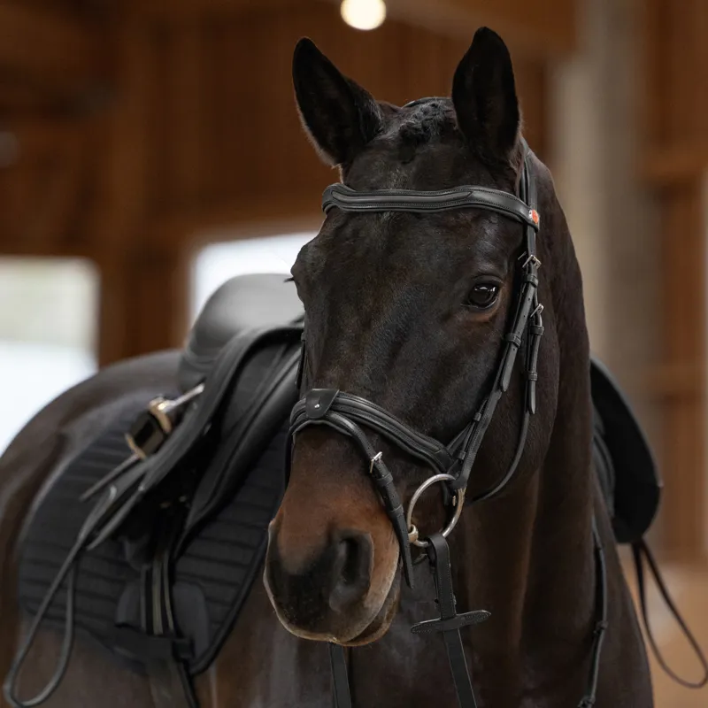 Kieffer Palmanova Snaffle Bridle-8