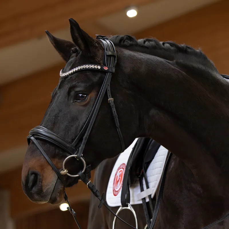 Kieffer Lina Snaffle Bridle - Black-3