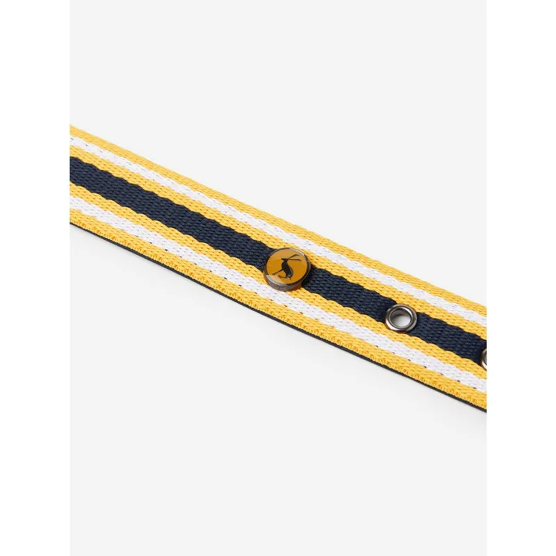 Joules Coastal Dog Collar -3