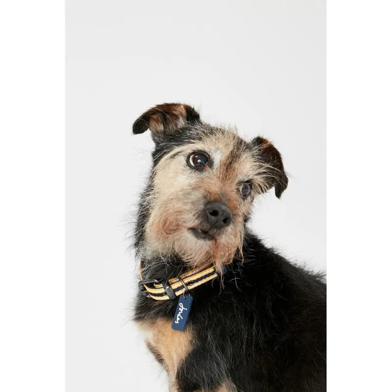 Joules Coastal Dog Collar 