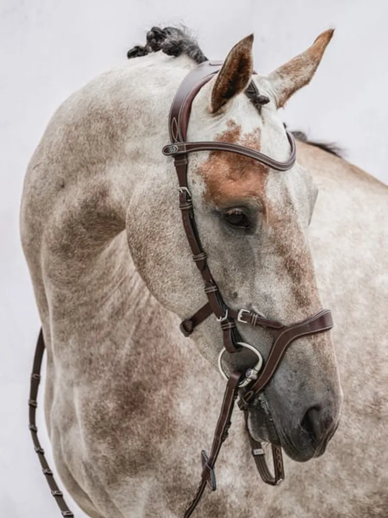 PS of Sweden Nirak Bridle - Brown