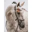 PS of Sweden Nirak Bridle - Brown