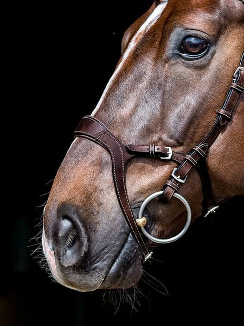 PS of Sweden Nirak Bridle - Brown-1