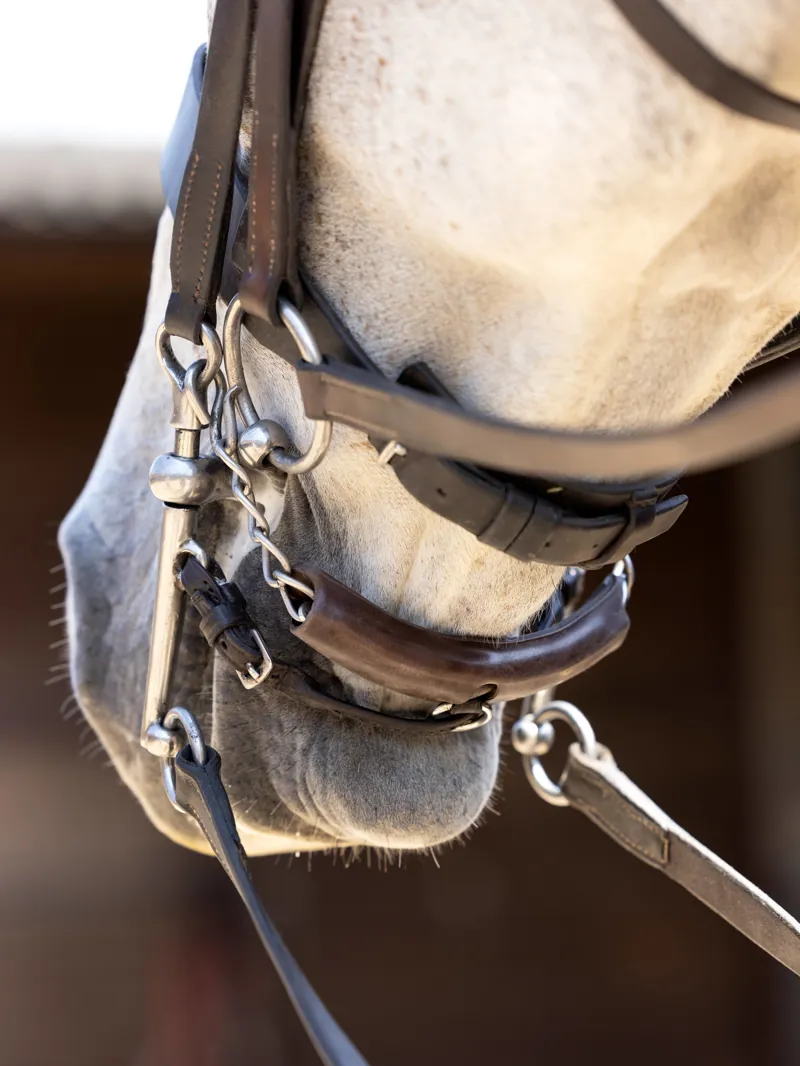 LeMieux Curb Chain Guard - Brown-1