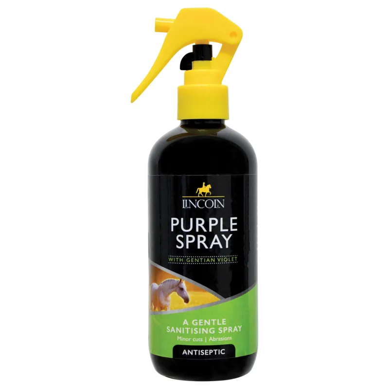 Lincoln 250ml Purple Spray