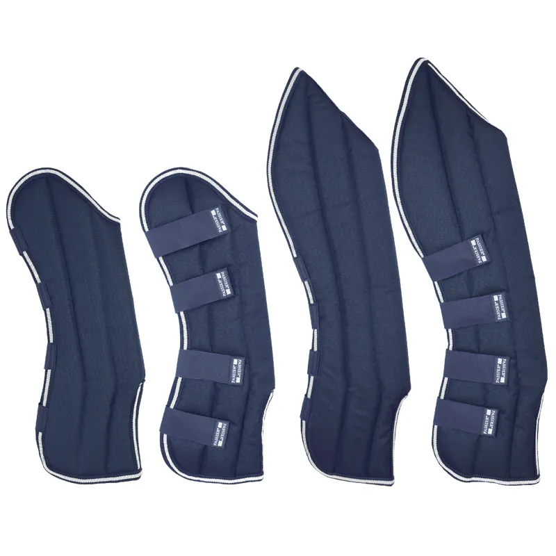 Passier Travel Boots Full Passier Blue