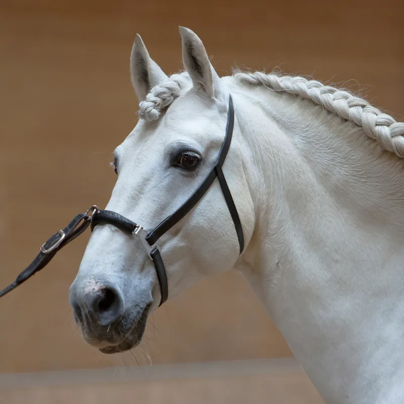 Kieffer Lunge Cavesson Anja Beran - Black