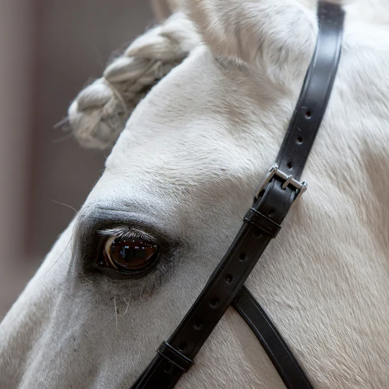 Kieffer Lunge Cavesson Anja Beran - Black-2