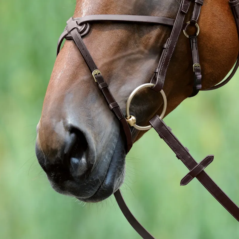 PASSIER Exchangeable Figure 8 Noseband-1