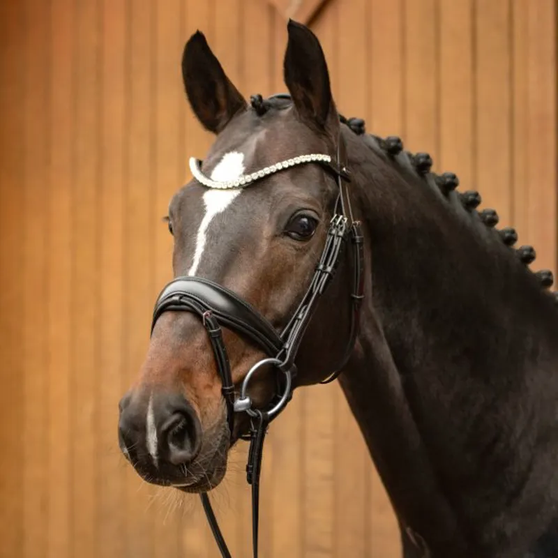 Passier Favorite Snaffle Bridle powered by Ingrid Klimke - Brown