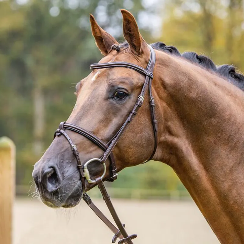 Passier Fly High Bridle - Black-3