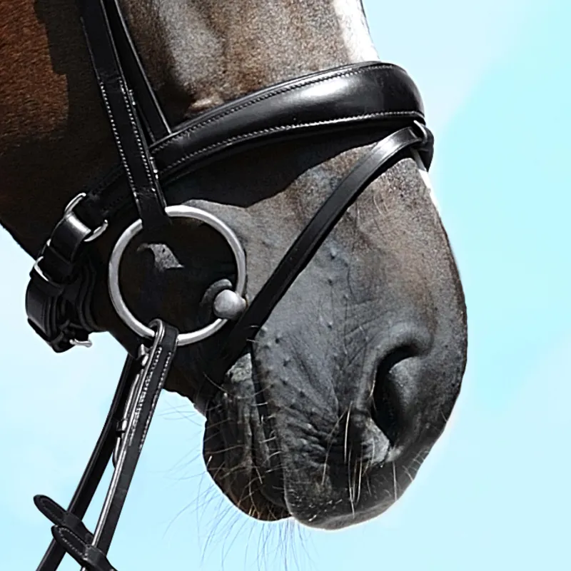 Passier Exchangeable Anatomically-Formed Caveson Special Flash Noseband-1