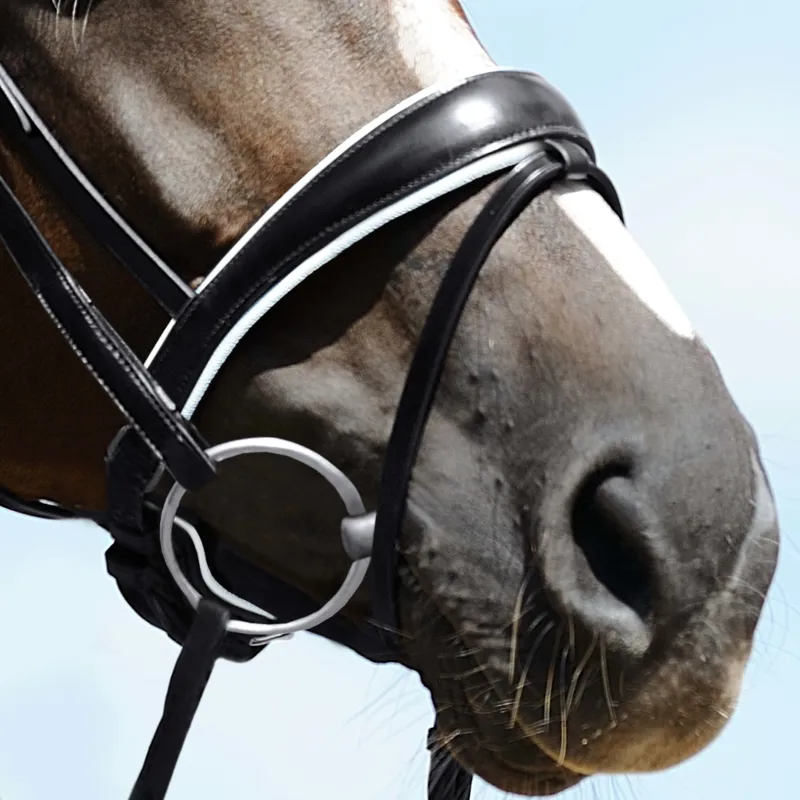 Passier Exchangeable Anatomically-Formed Caveson Special with White Lining and Flash Strap-1